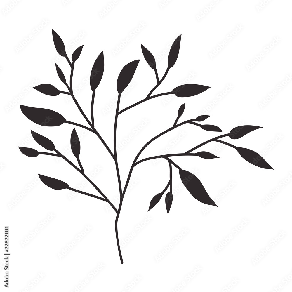 beautiful leaf plant icon