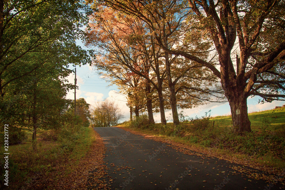 Fall foliage on a romantic country road in the Catskills