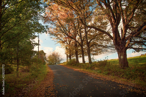 Fall foliage on a romantic country road in the Catskills