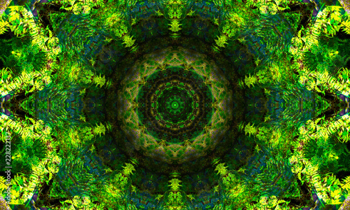 Dark green mandala Art with a detailed geometric pattern.