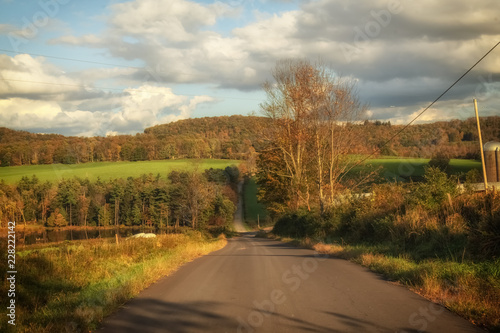 Fall foliage along a country road photo