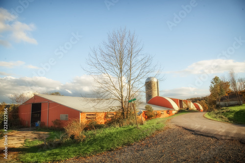 Old farm along a rural road photo