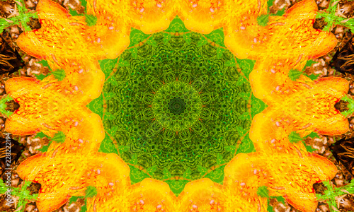 Orange and green kaleidoscopic mandala Art with a beautiful repetitive pattern.