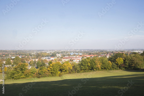 view to a field with colourful trees in autumn