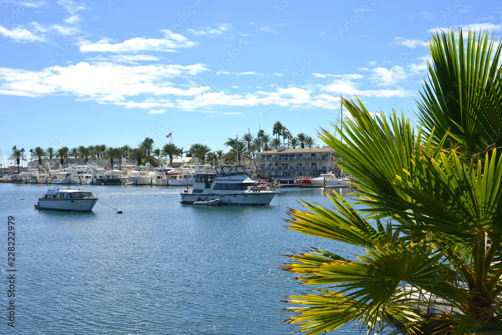 Newport Beach California USA Yacht Harbour StockFoto Adobe Stock