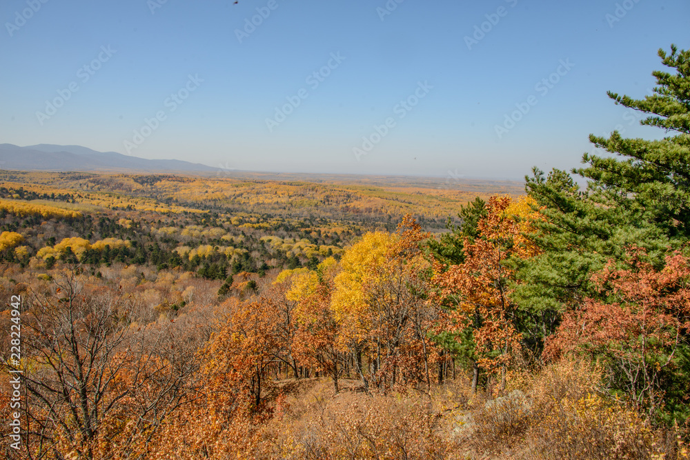 the mountain autumn landscape with colorful forest