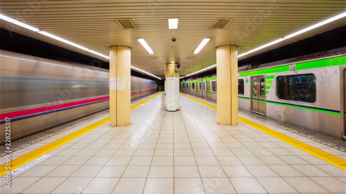 Canvas Print Commuters and trains in subway station in Tokyo