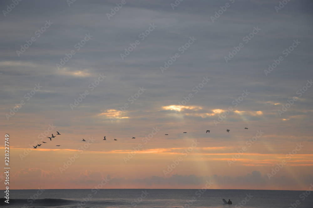 Surfer and pelicans flying over with clouds and sun rays