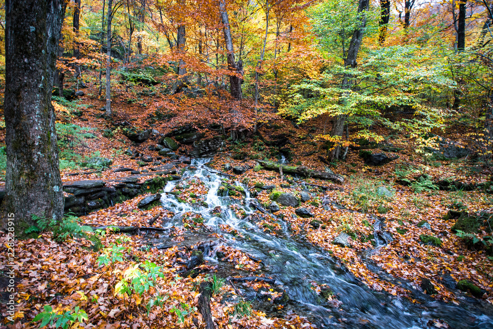vermont waterfall