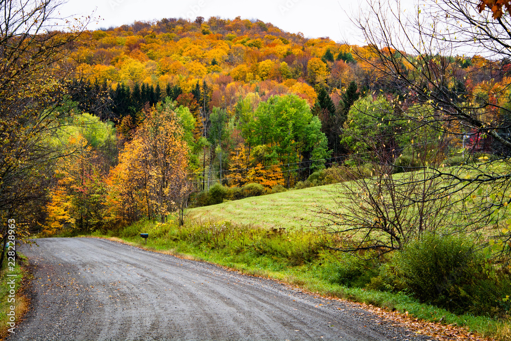 Vermont in fall