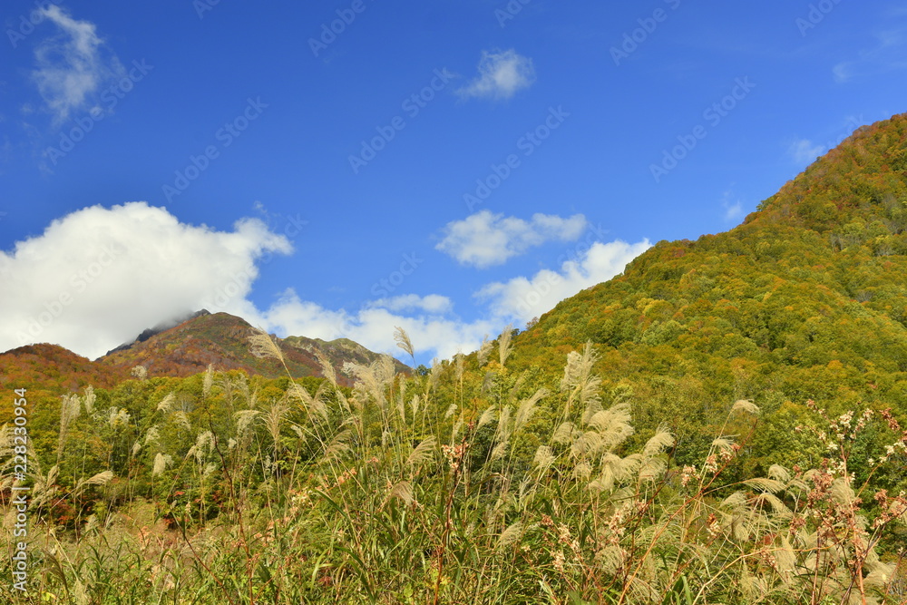 秋の小谷の山 秋の小谷の山