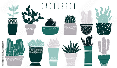 Set cactus pot and succulent in sketch style. Flat drawing element design. Decoration collection plant.