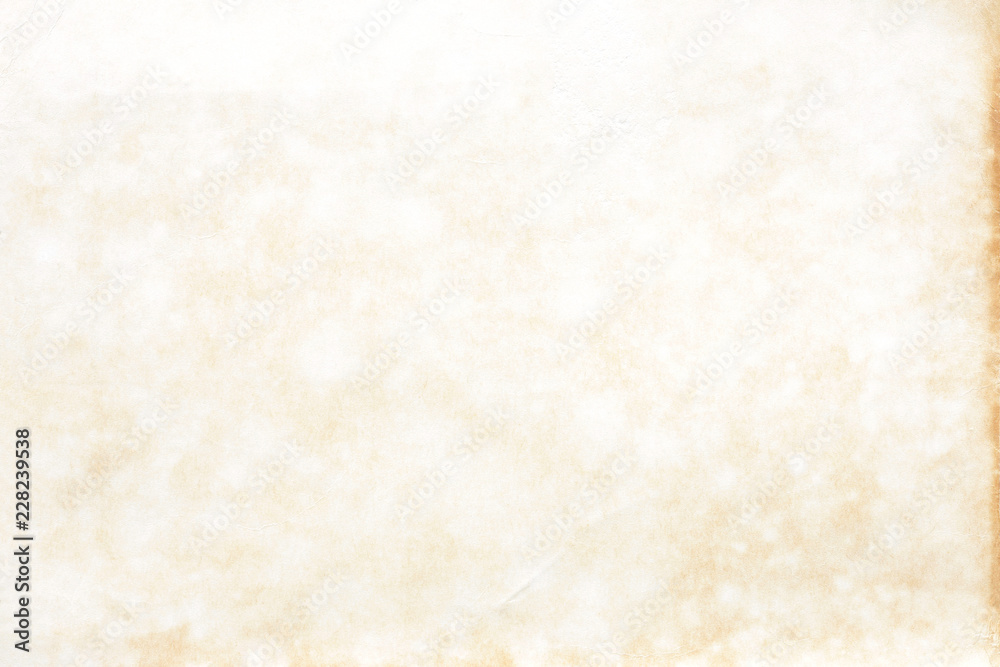 Obraz premium Old grunge paper texture