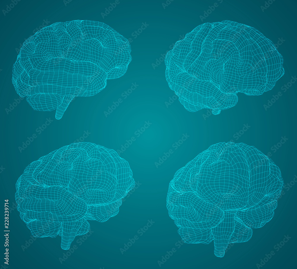 set three-dimensional vector cyber brain.