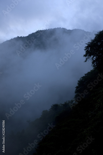 霧の山