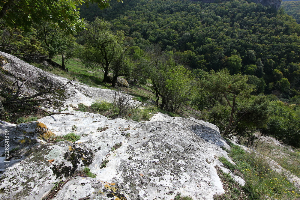 forests on the slopes of the Crimean mountains