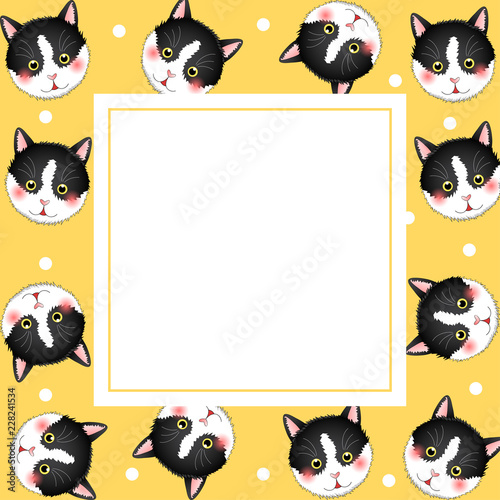 Black White Cat on Yellow B...