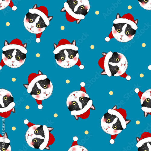 Black White Cat Santa Claus...