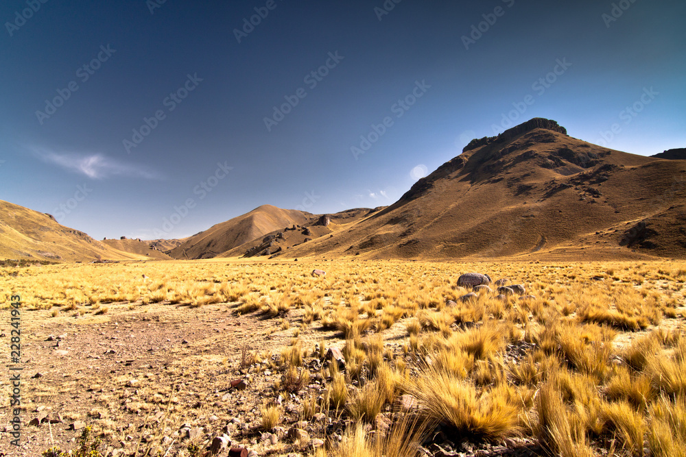 Desert beauty with gestural mountain background #1
