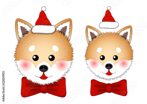 Shiba Inu Santa Claus Dog.