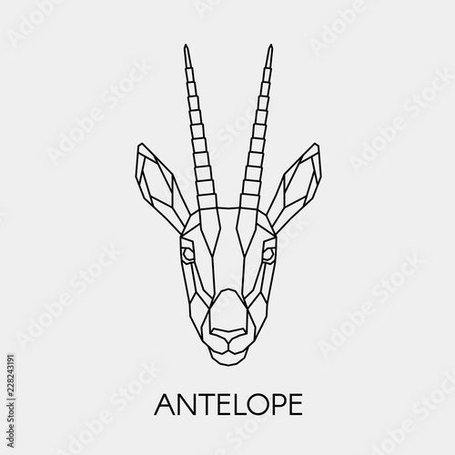 Geometric antelope. Polygonal linear animal head. Vector illustration.