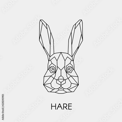 Geometric rabbit. Polygonal linear hare head. Vector illustration.