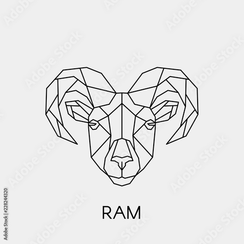 Geometric ram. Polygonal linear sheep head. Vector illustration.