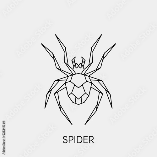 Geometric spider. Polygonal linear abstract insect. Vector illustration.