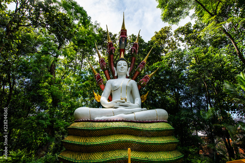 Beautiful white Buddha statue in Analyo Thipayaram temple photo