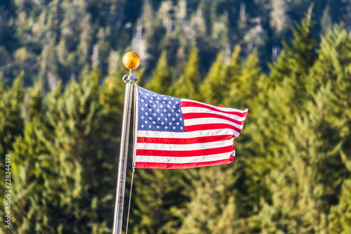 USA flag waving on forest outdoor background. American symbol. photo