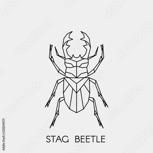 Geometric stag beetle. Polygonal linear abstract bug. Vector illustration. © Marinika