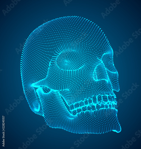 vectorial set of human skulls with square and triangular