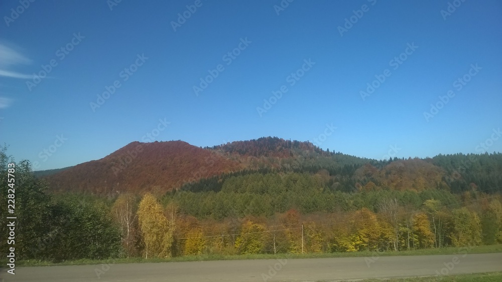 Obraz premium lasy, jesień,bieszczady,góry,bory,
