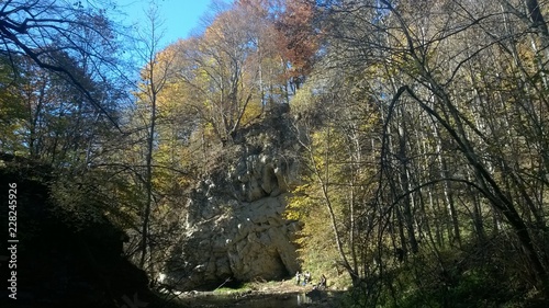 lasy, jesień,bieszczady,góry,bory,