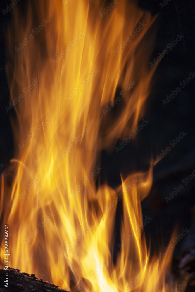 Fire, flames on a black background.