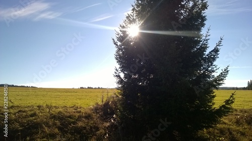 lasy, jesień,bieszczady,góry,bory,