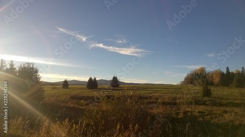 lasy, jesień,bieszczady,góry,bory,