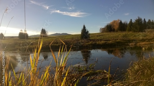 lasy, jesień,bieszczady,góry,bory,