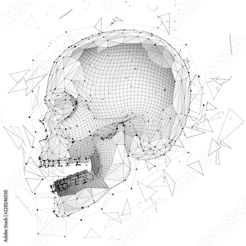 3d vector human skull of all segments explodes.