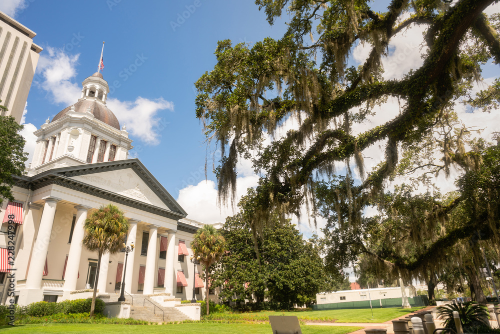 Naklejka premium Security Barriers Protect The State Capital Building in Tallahassee Florida