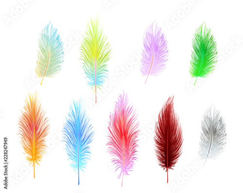 set of multi-colored vector feathers isolated © coffeemill