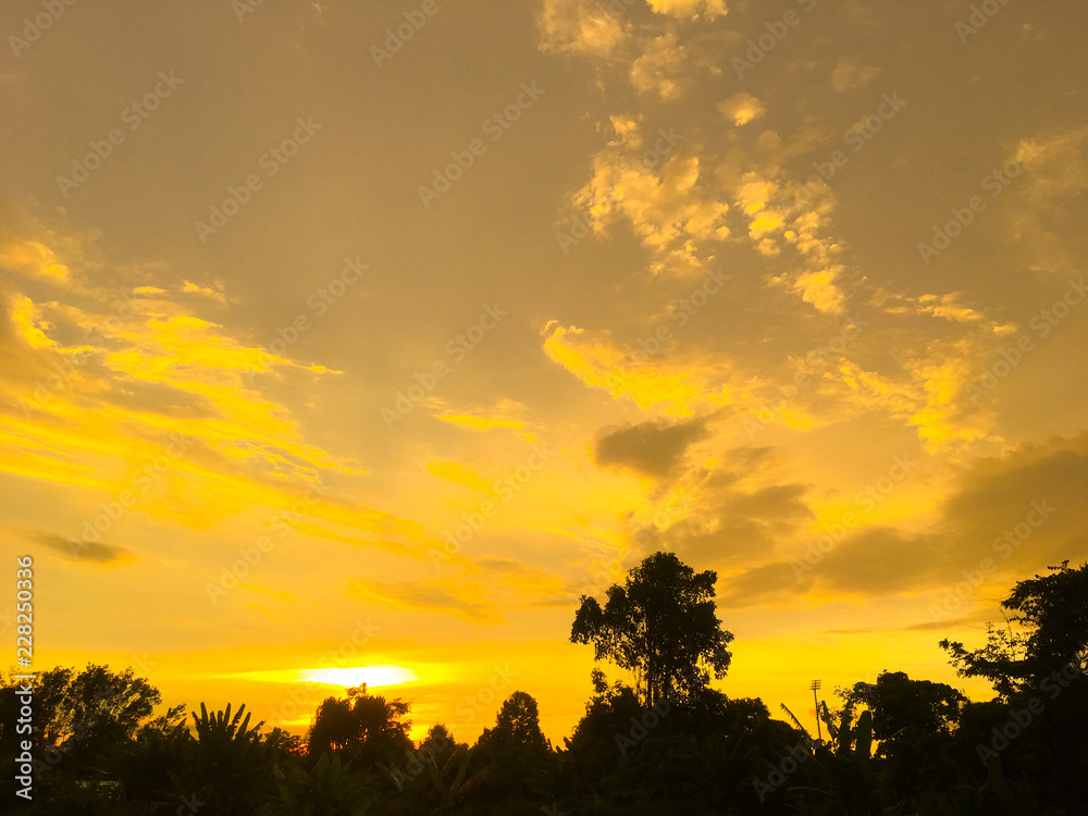 sunset, sky, sun, landscape, clouds, nature, tree, sunrise, cloud, dusk, evening, trees, orange, red, silhouette, summer, beautiful, morning, horizon, field sunset, sky, sun, landscape, clouds, nature, tree, sunrise, cloud, dusk, evening, trees, orange, red, silhouette, summer, beautiful, morning, horizon, field