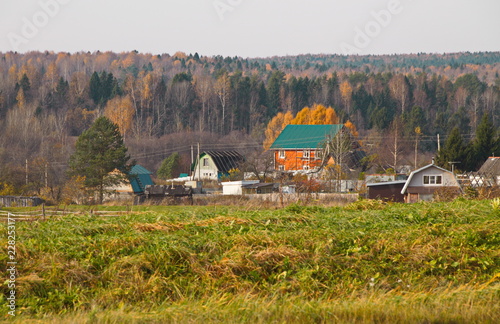  Деревня Михалево Вологодская область.Осенний пейзаж