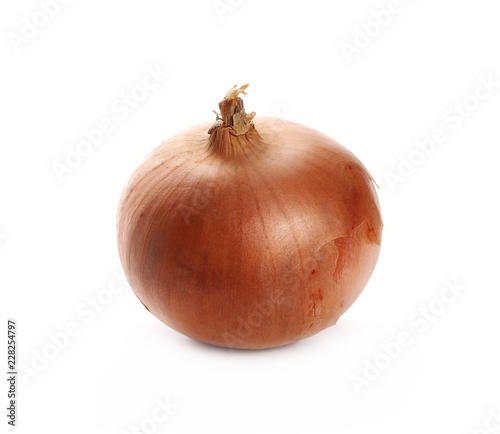 Wallpaper Mural Fresh onion bulb isolated on white background Torontodigital.ca