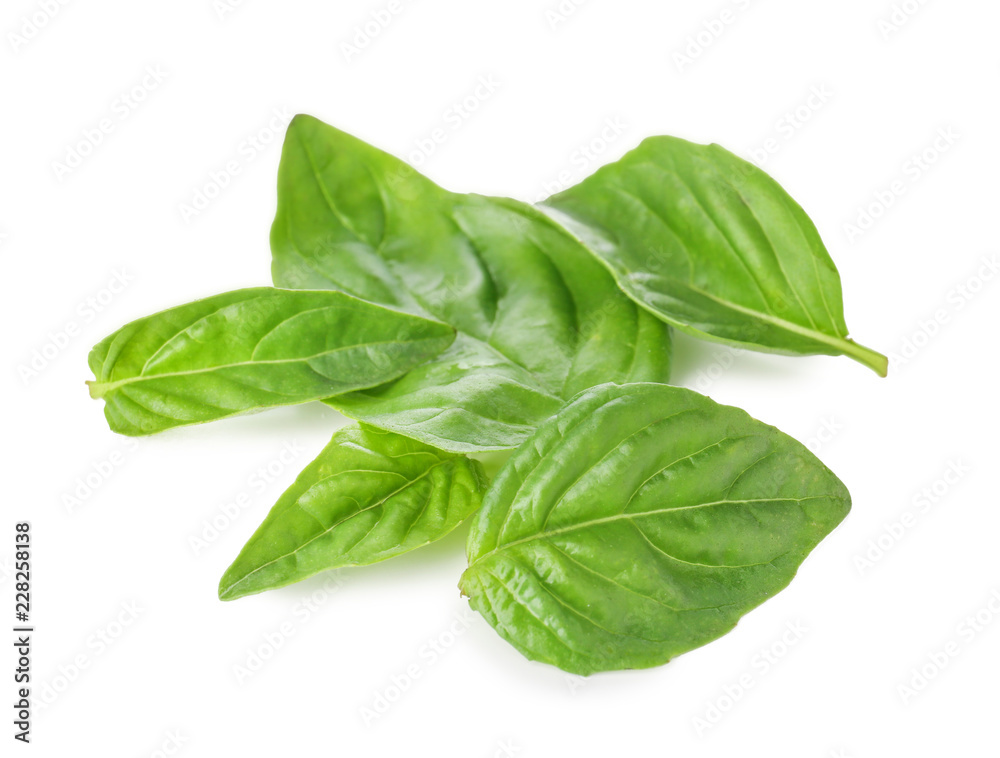 Fresh green basil on white background Fresh green basil on white background