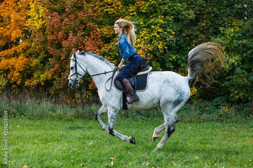 Woman horse riding in park © Jacek Chabraszewski