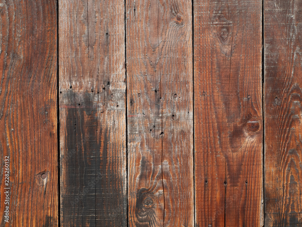 Naklejka premium OLYMPUS DIGITAL CAMERA