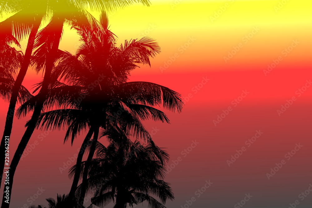 Silhouette of coconut tree on sunset colorful light background with copy space on the right.