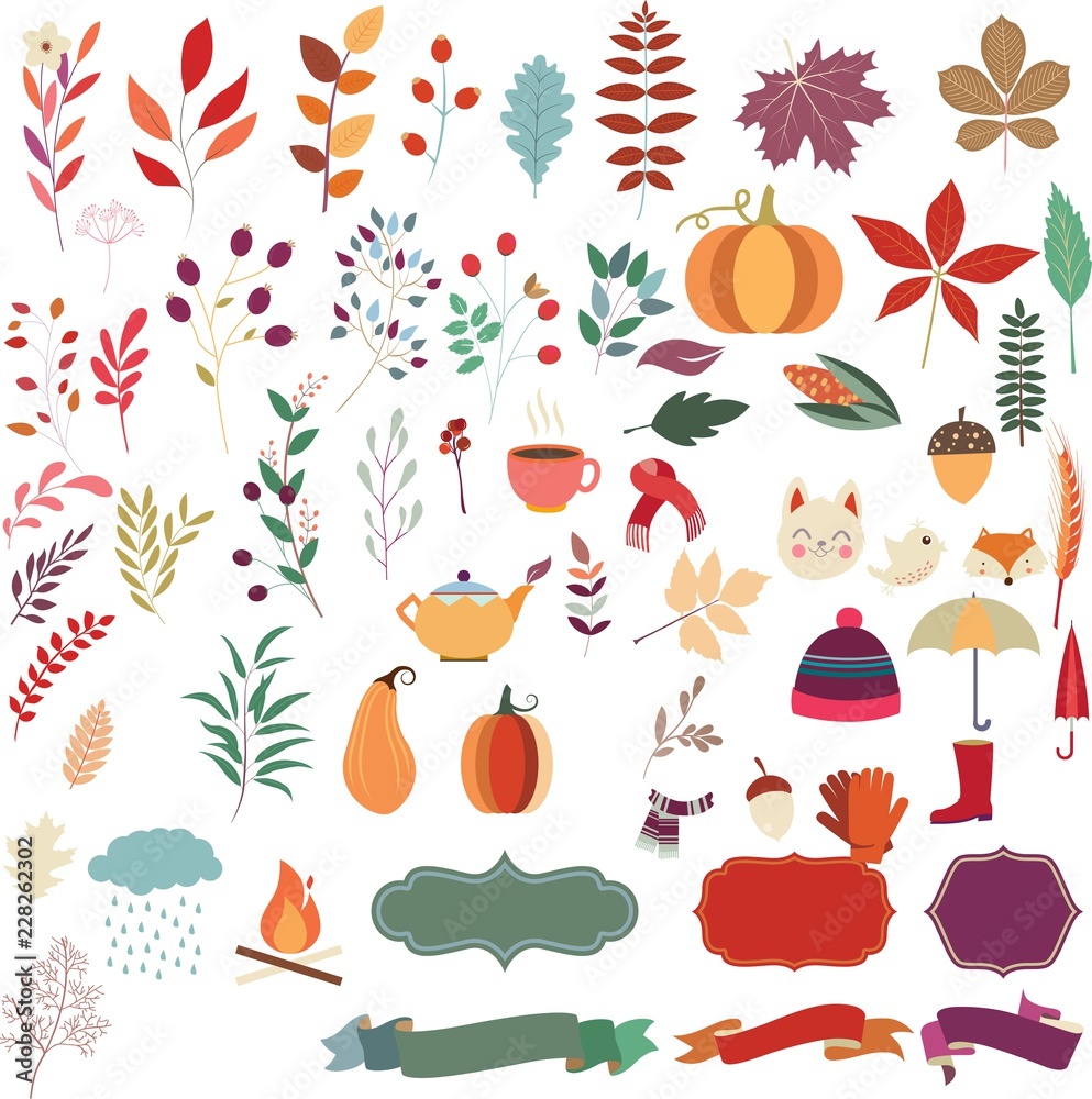 autumn elements autumn elements