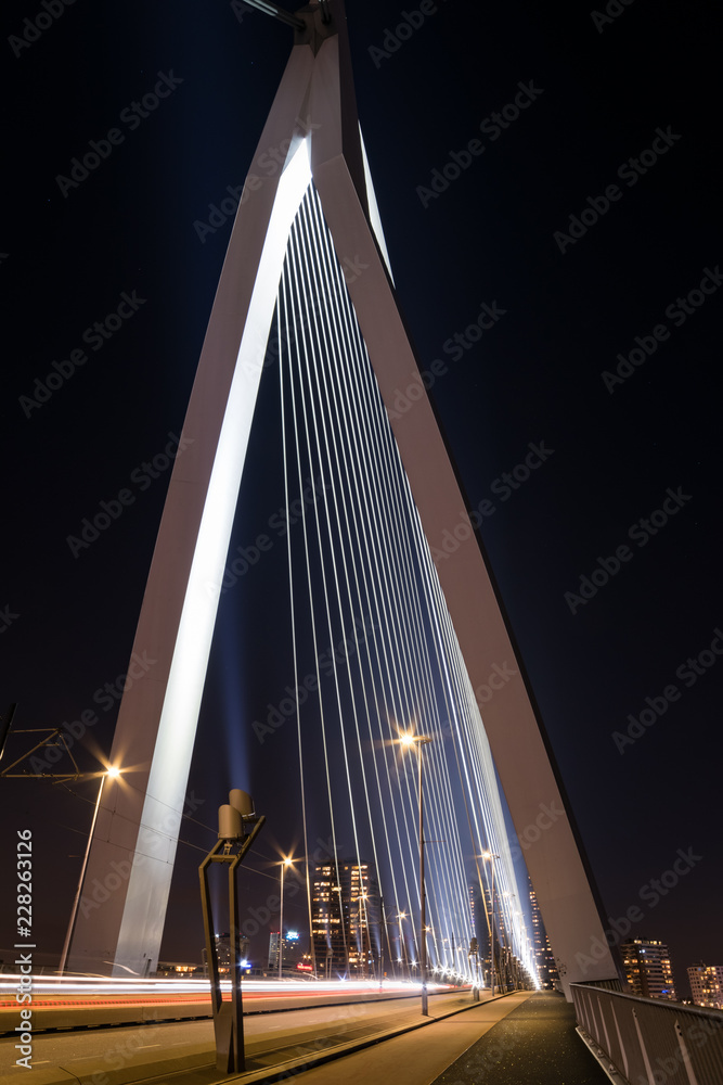 Fototapeta premium Illuminated Erasmus bridge in Rotterdam, Netherlands